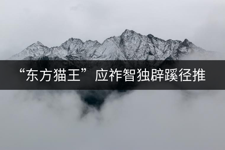“東方貓王”應(yīng)祚智獨(dú)辟蹊徑推出普洱茶工藝對(duì)聯(lián) “東方貓王”應(yīng)祚智獨(dú)辟蹊徑推出普洱茶工藝對(duì)聯(lián)