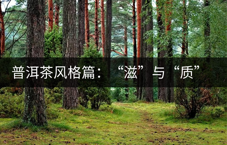 普洱茶風(fēng)格篇:“滋”與“質(zhì)”(談普洱茶數(shù)字化評價(jià)體系三) 普洱茶風(fēng)格篇:“滋”與“質(zhì)”(談普洱茶數(shù)字化評價(jià)體系三)