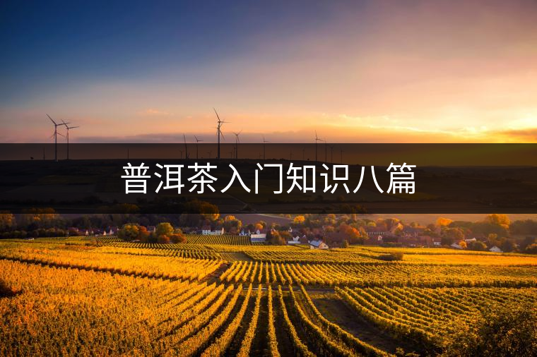 普洱茶入門(mén)知識(shí)八篇