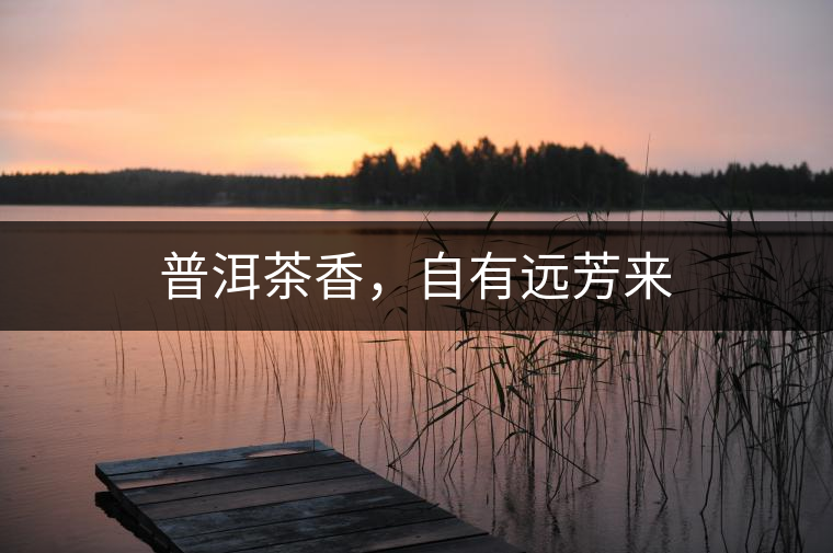 普洱茶香，自有遠(yuǎn)芳來