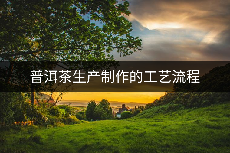 普洱茶生產(chǎn)制作的工藝流程 普洱茶生產(chǎn)制作的工藝流程