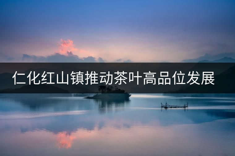 仁化紅山鎮(zhèn)推動茶葉高品位發(fā)展紀(jì)實 仁化紅山鎮(zhèn)推動茶葉高品位發(fā)展紀(jì)實