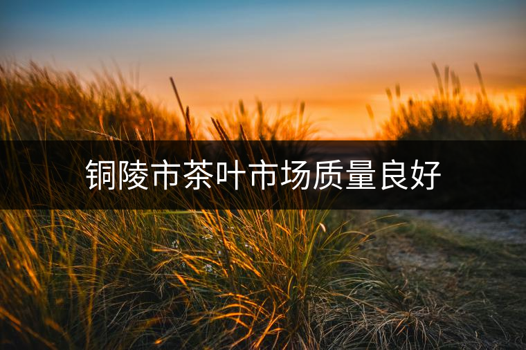 銅陵市茶葉市場(chǎng)質(zhì)量良好
