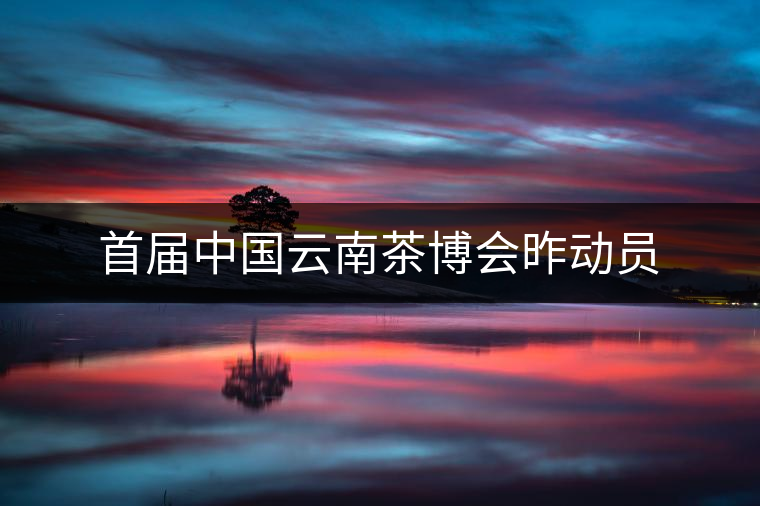 首屆中國云南茶博會昨動員 首屆中國云南茶博會昨動員