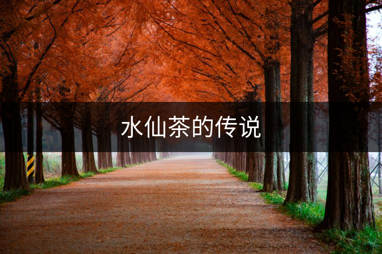水仙茶的傳說 水仙茶的傳說