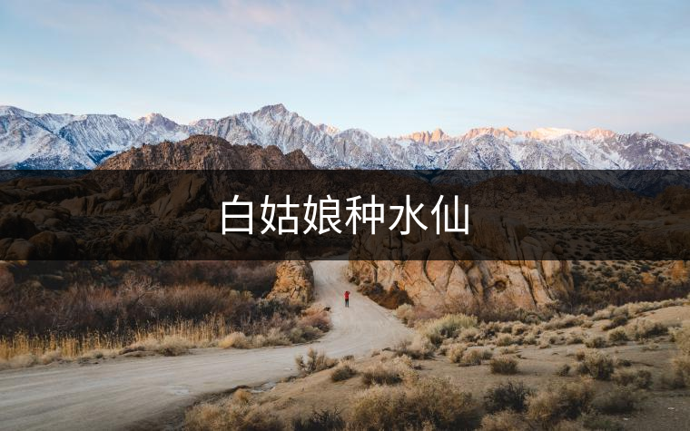 白姑娘種水仙 白姑娘種水仙