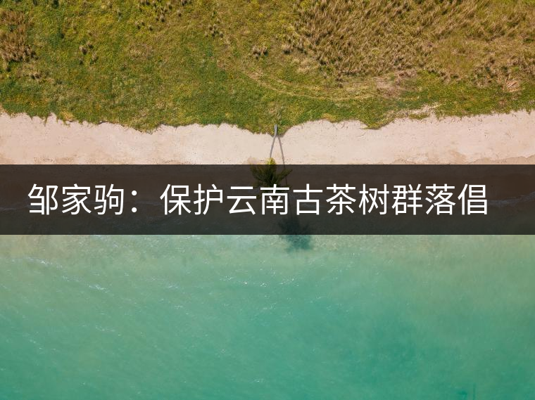 鄒家駒：保護(hù)云南古茶樹群落倡議書