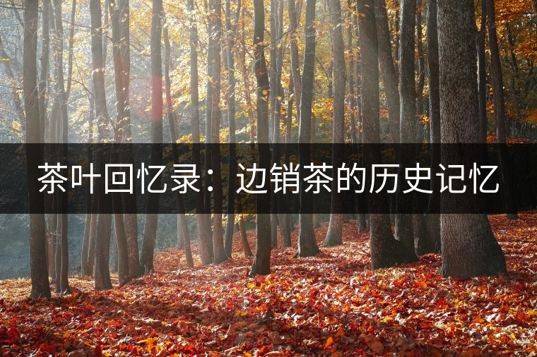 茶葉回憶錄:邊銷茶的歷史記憶 茶葉回憶錄:邊銷茶的歷史記憶