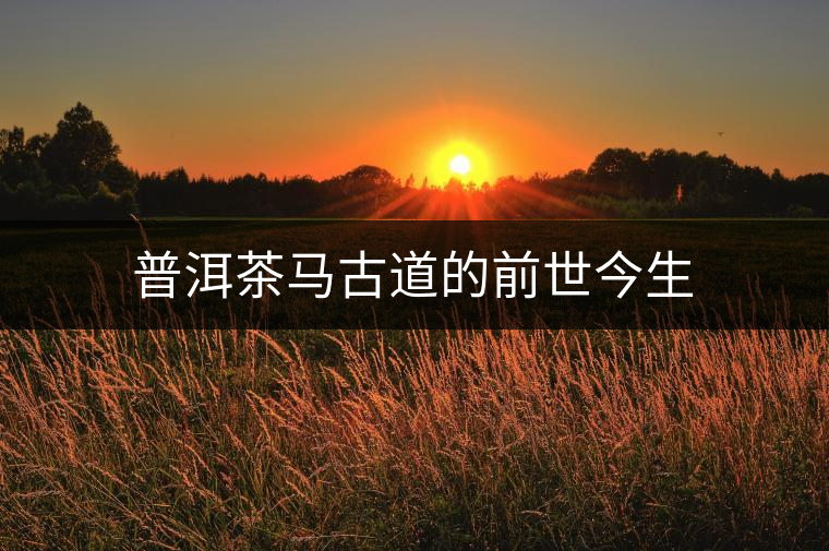 普洱茶馬古道的前世今生 普洱茶馬古道的前世今生