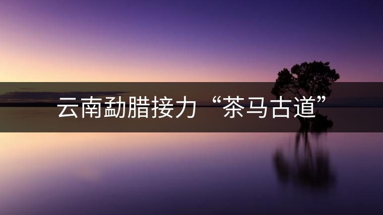 云南勐臘接力“茶馬古道” 云南勐臘接力“茶馬古道”