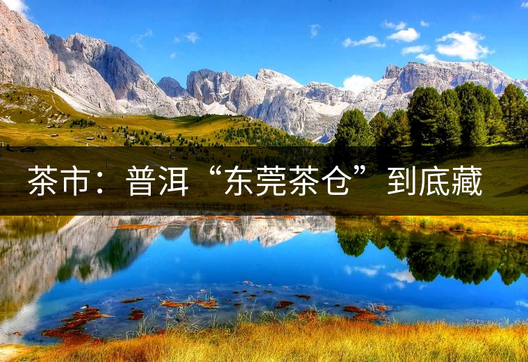 茶市：普洱“東莞茶倉”到底藏給誰喝？