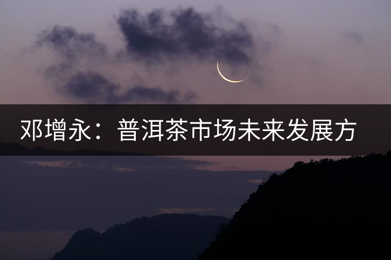 鄧增永:普洱茶市場(chǎng)未來發(fā)展方向展望 鄧增永:普洱茶市場(chǎng)未來發(fā)展方向展望