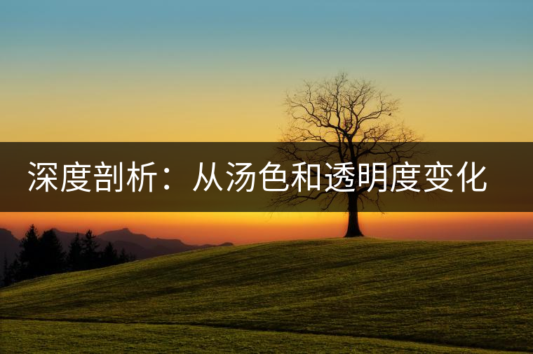 深度剖析:從湯色和透明度變化 看普洱茶的好壞 深度剖析:從湯色和透明度變化 看普洱茶的好壞