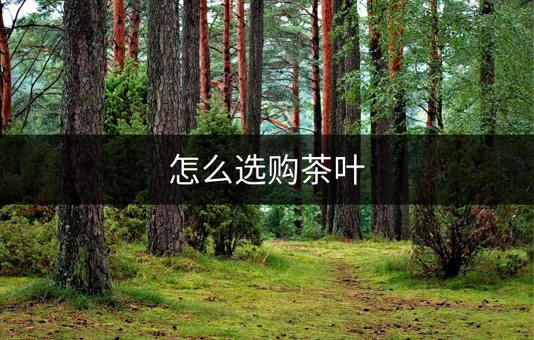 怎么選購茶葉 怎么選購茶葉
