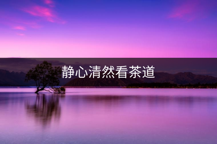 靜心清然看茶道 靜心清然看茶道