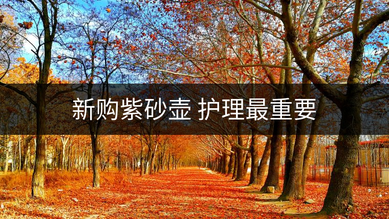 新購紫砂壺 護理最重要