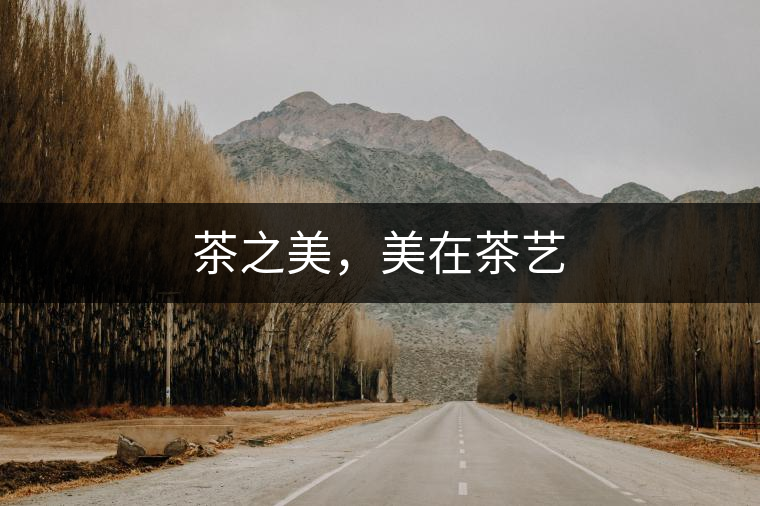 茶之美，美在茶藝