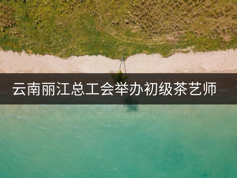 云南麗江總工會(huì)舉辦初級茶藝師培訓(xùn) 云南麗江總工會(huì)舉辦初級茶藝師培訓(xùn)