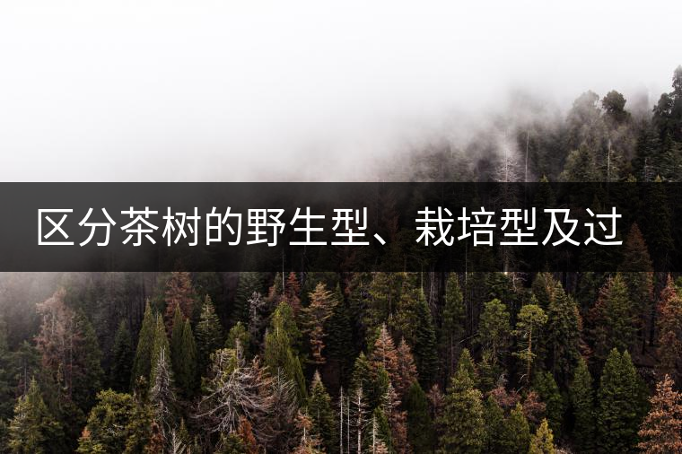 區(qū)分茶樹的野生型、栽培型及過渡型 區(qū)分茶樹的野生型、栽培型及過渡型