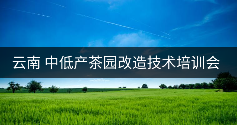 云南 中低產(chǎn)茶園改造技術培訓會在昌寧召開 云南 中低產(chǎn)茶園改造技術培訓會在昌寧召開