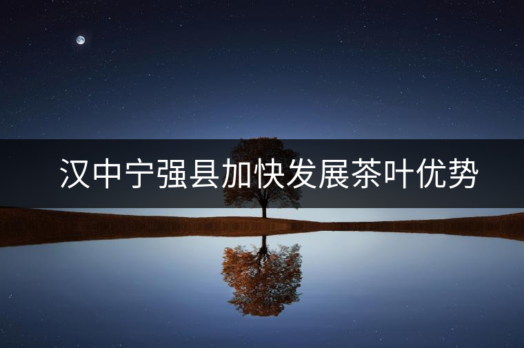 漢中寧強縣加快發(fā)展茶葉優(yōu)勢產(chǎn)業(yè) 漢中寧強縣加快發(fā)展茶葉優(yōu)勢產(chǎn)業(yè)