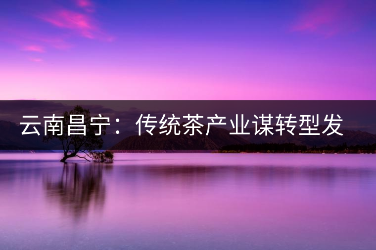 云南昌寧:傳統(tǒng)茶產(chǎn)業(yè)謀轉(zhuǎn)型發(fā)展 云南昌寧:傳統(tǒng)茶產(chǎn)業(yè)謀轉(zhuǎn)型發(fā)展