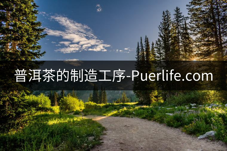 普洱茶的制造工序-Puerlife.com 普洱茶的制造工序-Puerlife.com