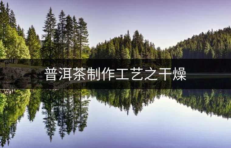 普洱茶制作工藝之干燥 普洱茶制作工藝之干燥