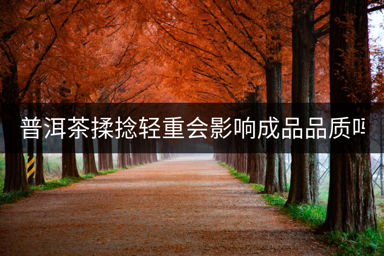 普洱茶揉捻輕重會影響成品品質(zhì)嗎？