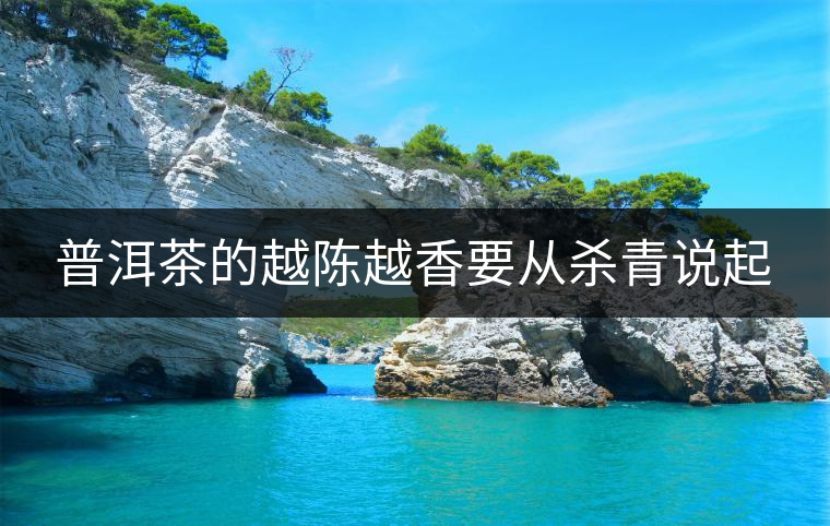 普洱茶的越陳越香要從殺青說起