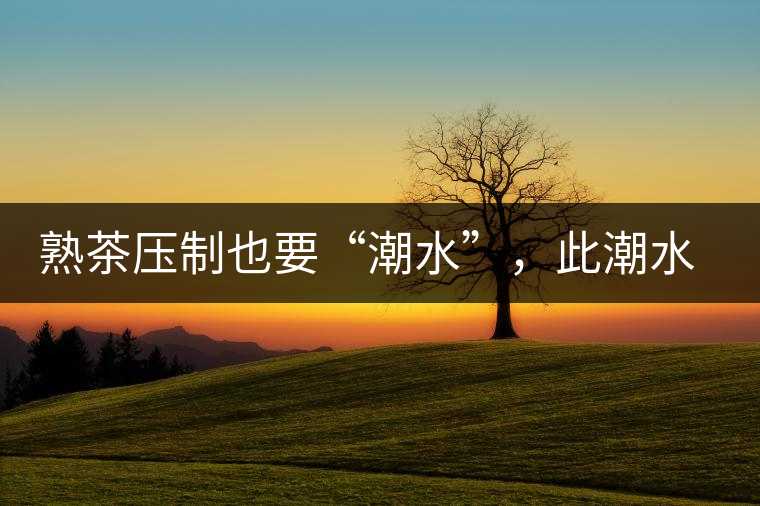 熟茶壓制也要“潮水”，此潮水的目的是什么？