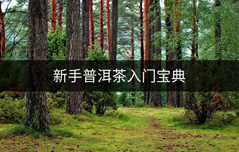 新手普洱茶入門寶典 新手普洱茶入門寶典