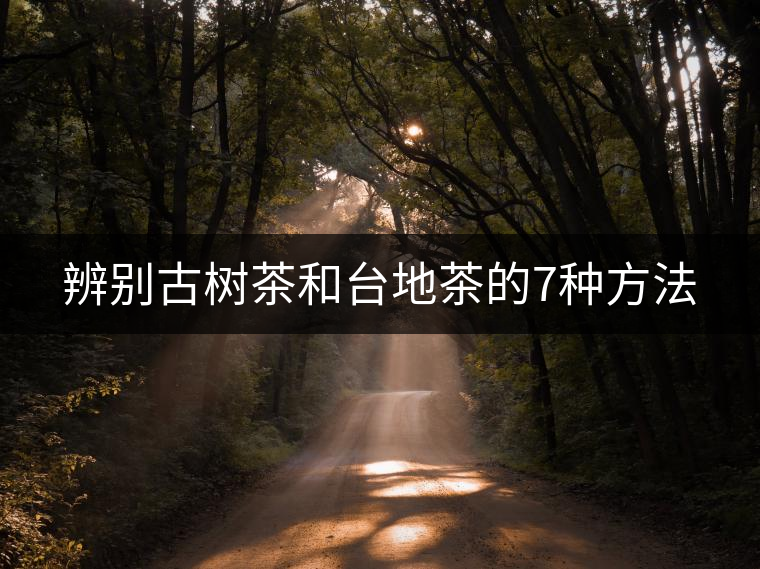 辨別古樹茶和臺地茶的7種方法 辨別古樹茶和臺地茶的7種方法