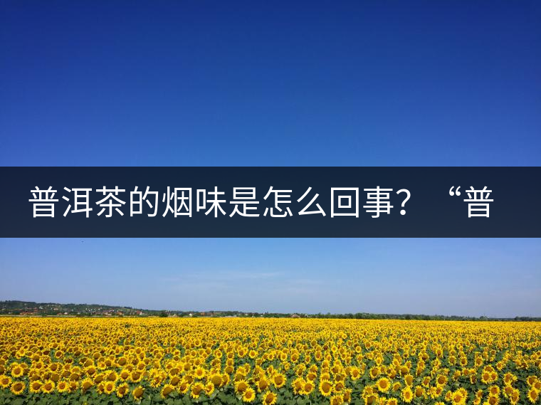 普洱茶的煙味是怎么回事？“普洱教父”白水清最新解析！