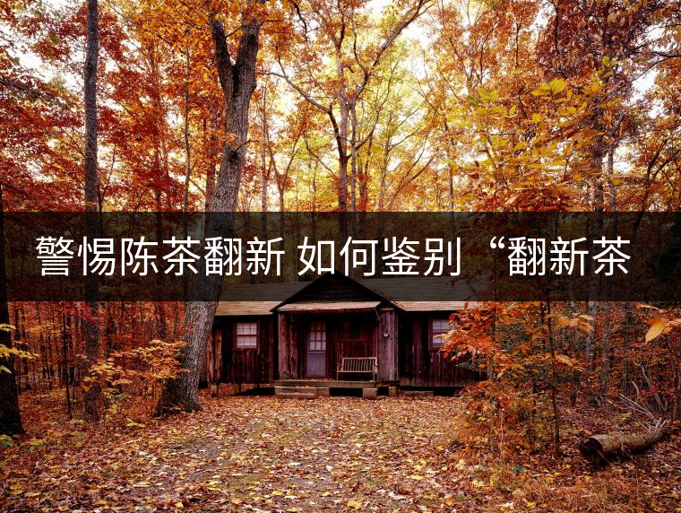 警惕陳茶翻新 如何鑒別“翻新茶” 警惕陳茶翻新 如何鑒別“翻新茶”