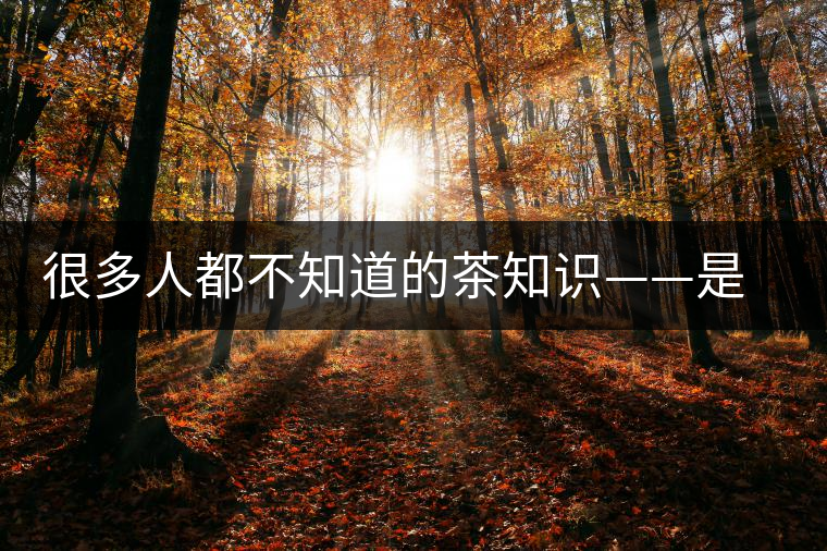 很多人都不知道的茶知識——是什么造就了普洱茶的一山一味？