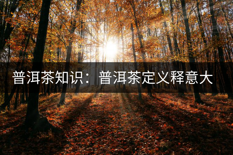 普洱茶知識(shí):普洱茶定義釋意大全 普洱茶知識(shí):普洱茶定義釋意大全