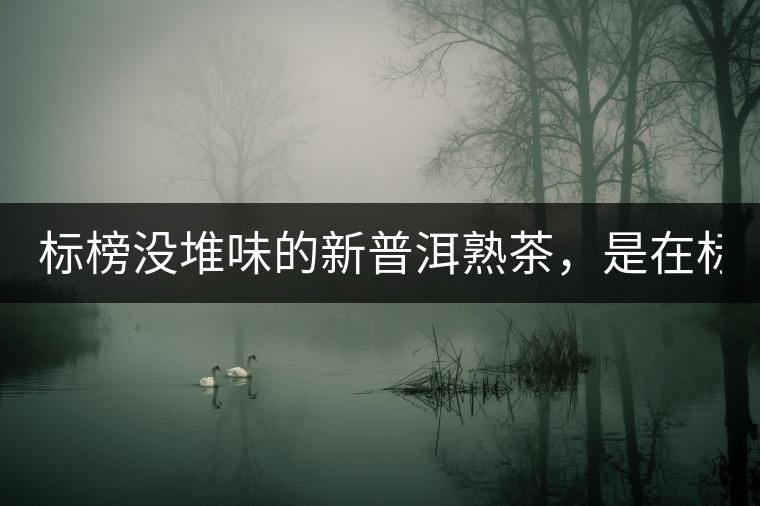 標榜沒堆味的新普洱熟茶，是在標榜無知！