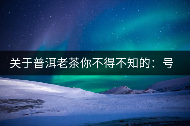 關(guān)于普洱老茶你不得不知的：號級茶、印級茶、七子餅茶