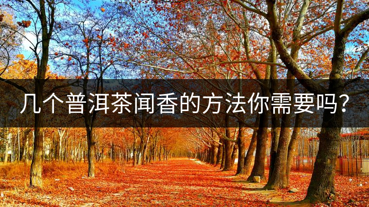 幾個普洱茶聞香的方法你需要嗎？