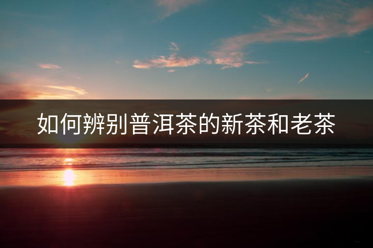 如何辨別普洱茶的新茶和老茶 如何辨別普洱茶的新茶和老茶