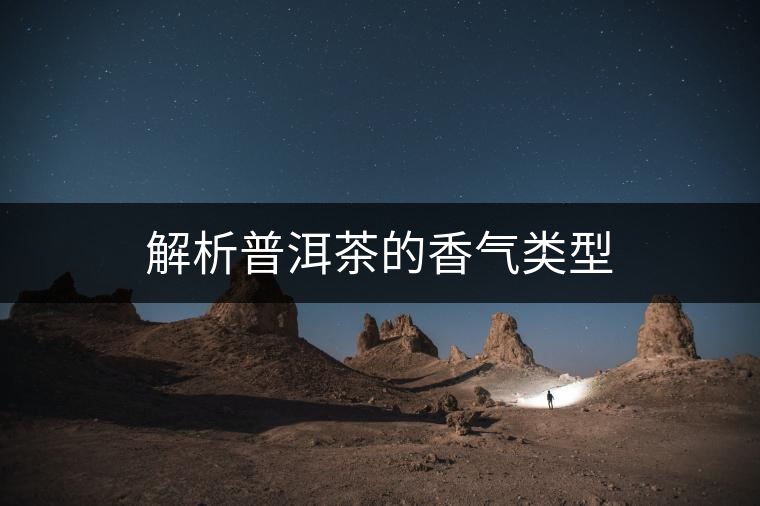 解析普洱茶的香氣類型 解析普洱茶的香氣類型