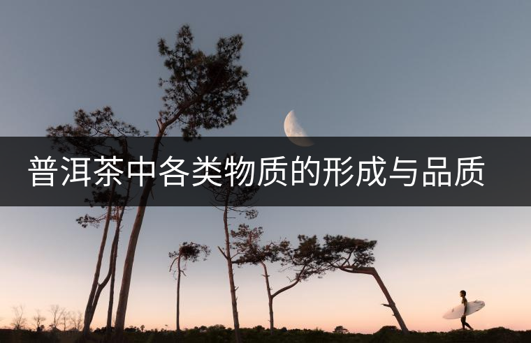 普洱茶中各類(lèi)物質(zhì)的形成與品質(zhì)關(guān)系