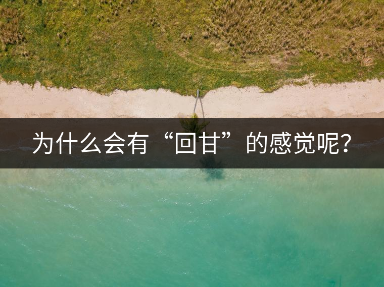為什么會(huì)有“回甘”的感覺呢？