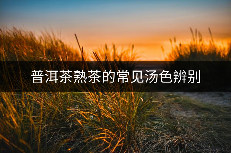 普洱茶熟茶的常見湯色辨別 普洱茶熟茶的常見湯色辨別