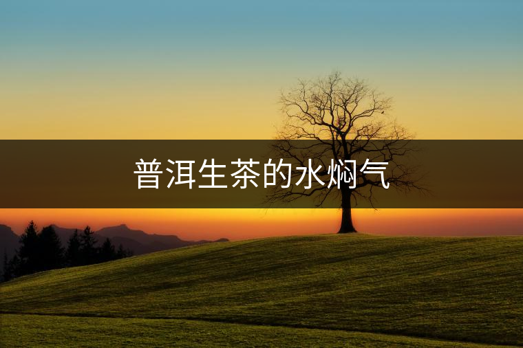 普洱生茶的水燜氣 普洱生茶的水燜氣