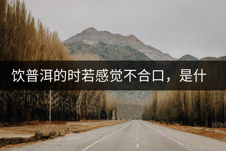 飲普洱的時若感覺不合口，是什么原呢？