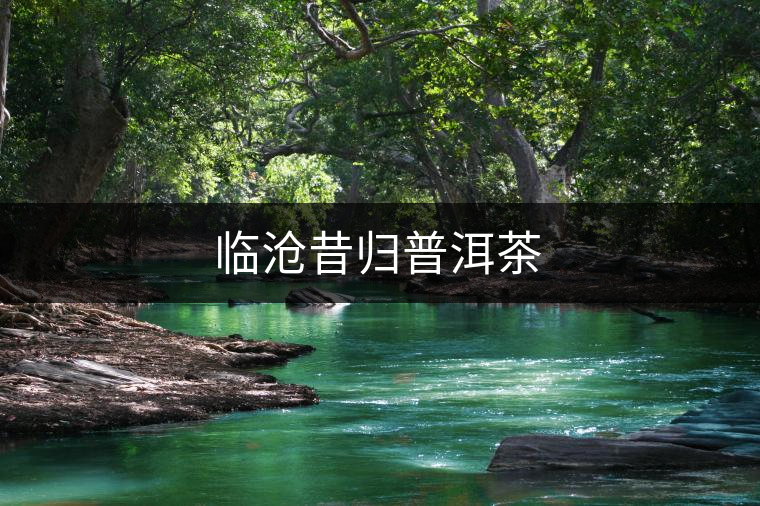 臨滄昔歸普洱茶 臨滄昔歸普洱茶