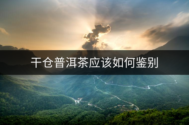 干倉普洱茶應該如何鑒別 干倉普洱茶應該如何鑒別