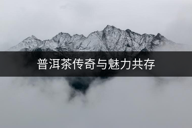 普洱茶傳奇與魅力共存